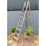 Early 20th C. set of step ladders.