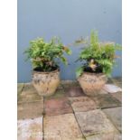 Pair of 19th C. terracotta planters.