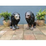 Pair of bronze seated lions.