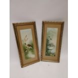 Pair of coloured prints of Birds' in gilt frames by E. Vouga {64 cm H x 31 cm W each}.