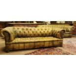 Rare pair of early 20th C. hand dyed leather deep buttoned chesterfield sofas .