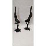 Pair of bronze Parrots perched on branch {139 cm H x 44 cm W x 49 cm D}.