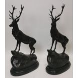 Pair of exceptional quality bronze stags on marble bases.