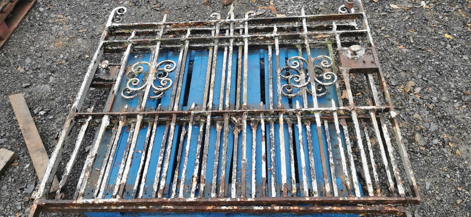 Pair of 19th. C. wrought iron entrance gates. {130 cm H x 310 cm L}.