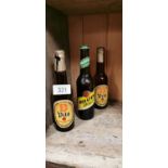 Three bottles of Holsten Pils.