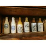 Collection of ten ginger beer bottles.