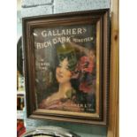 Rare Gallaher's Tobacco pictorial advertising print.