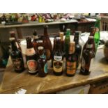 Collection of old beer bottles.