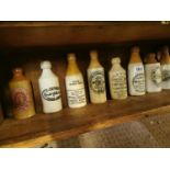 Collection of ten ginger beer bottles.