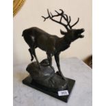 Bronze model of a Stag