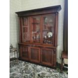 William IV. Mahogany bookcase