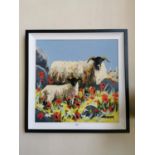 Framed oil on board Sheep.