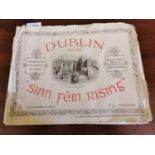 Dublin and The Sinn Fein Rising book