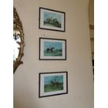 Five framed Edwardian coloured prints.