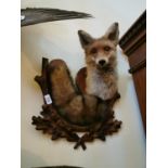 Taxidermy fox head and tail