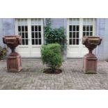Pair of terracotta urns mounted on square bases.