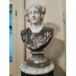 Marble bust of Lady,