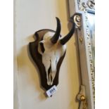 Pair of animal skulls mounted on mahogany plaques.