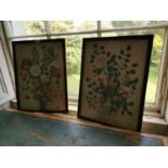 Two framed Floral Watercolours