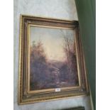 19th. C. Oil on Board - Woodland Scene