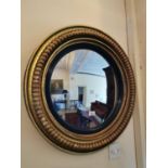 19th. C. Giltwood and gesso convex wall mirror.