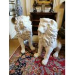 Pair of plaster seated lions.