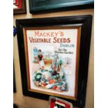 MacKeys Vegetable Seeds Dublin framed advertising print.