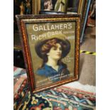 Gallaher's Tobacco pictorial advertising print.