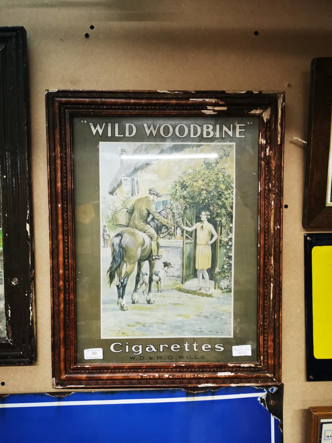 Wild Woodbine Cigarettes showcard
