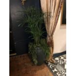 French glazed urn complete with foliage W 70cm H 180cm