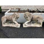 Pair of stone figures of lions, with a foot raised on ball 70 W 60 H 25 H