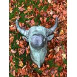 Bronze model of a wall mounted bulls head W 55cms H 70cms D 50cms