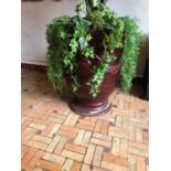 French glazed pot burgundy colour complete with foliage W 55cm H 70cm
