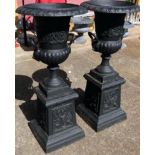 Pair of cast iron garden urns on plinths