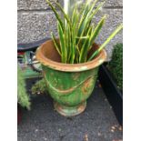 French glazed urn complete with foliage W 70cm H 80cm