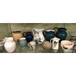 SHELF OF VARIOUS JUGS INCLUDING DENBY HARLEQUIN, DENBY LUXOR,