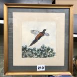 WATERCOLOUR OF A PHEASANT IN FLIGHT SIGNED A.D. HOMER DATED 1930 IN THE MANNER OF A.