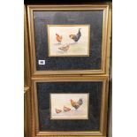 WATERCOLOURS ON PAPER OF FARMYARD FOWL BY ELEANOR OATWAY SIGNED AND DATED '95 AND '96 RESPECTIVELY