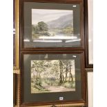 PAIR OF WATERCOLOURS OF COALWICK NATURE RESERVE F/G SIGNED V.