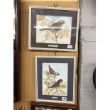 TWO SMALL WATERCOLOURS OF BIRDS F/G