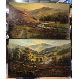 PAIR OF UNFRAMED OIL ON CANVAS OF MOUNTAIN LANDSCAPES BY M.C.