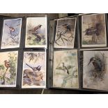 GREEN BINDER OF 25 PICTURE POSTCARDS BY VALENTINE AND SONS OF BRITISH BIRDS,