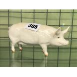 BESWICK WALL QUEEN 40 PIG