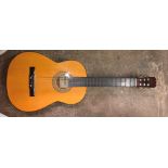 CONCHITA ACOUSTIC GUITAR IN VINYL CARRY CASE