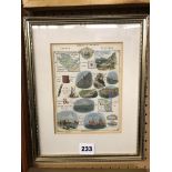 ANTIQUARIAN TINTED HIEROGLYPHICAL COUNTY READINGS ANGLESEY 13 X 18CM APPROX