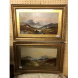 PAIR OF EARLY 20TH CENTURY OIL PAINTINGS OF MOUNTAIN LANDSCAPES FRAMED AND GLAZED 45CM X 25CM x2