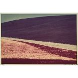 Franco Fontana (1933- ), UNTITLED (LANDSCAPE), 1978, Extacolour print on Kodak paper; signed, dated