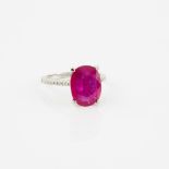 14k White Gold Ring, set with an oval cut ruby (5.03ct.) flanked by 20 small single cut diamonds