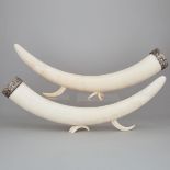 Pair of Ethiopian Elephant Tusks, early 20th century, length 36.5 in — 92.7 cm