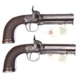A pair of Officer’s 16 bore percussion boxlock sidehammer belt pistols, c 1845, 9¾” overall,